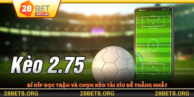 Bí kíp đọc trận và chọn kèo tài xỉu dễ thắng nhất