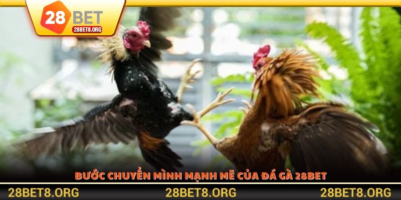 Bước chuyển mình mạnh mẽ của Đá gà 28BET