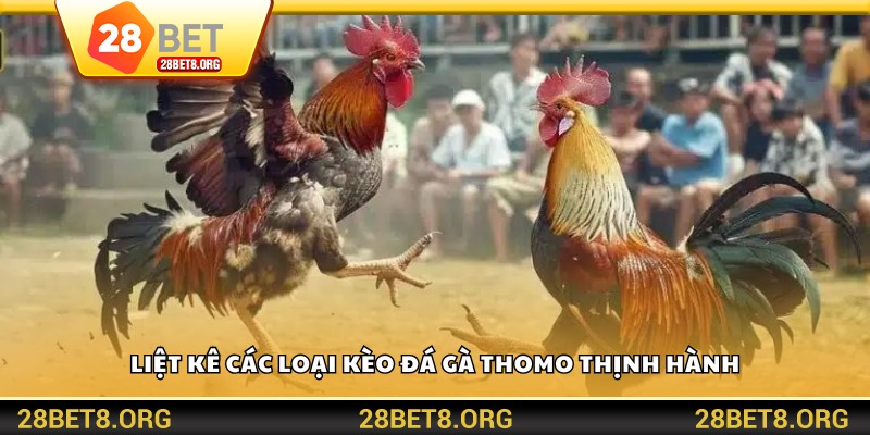 Liệt kê các loại kèo đá gà Thomo thịnh hành