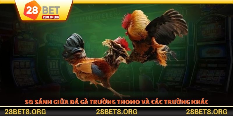 So sánh giữa đá gà trường Thomo và các trường khác