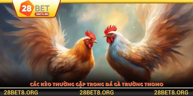 Các kèo thường gặp trong đá gà trường Thomo