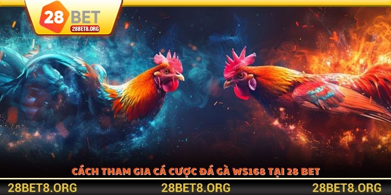 Cách tham gia cá cược đá gà WS168 tại 28 BET