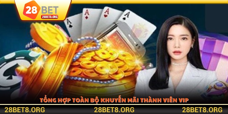 Tổng hợp toàn bộ khuyến mãi thành viên VIP